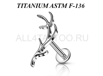 Лабрет из титана Ti Metal тиранда