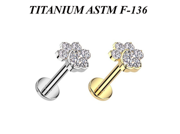 Лабрет из титана кристальная лапка