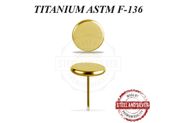 Вставка титановая Steel and Silver золотой диск Вставка титановая Steel and Silver золотой диск